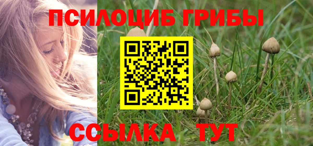 Псилоцибиновые грибы Psilocybine cubensis Абинск