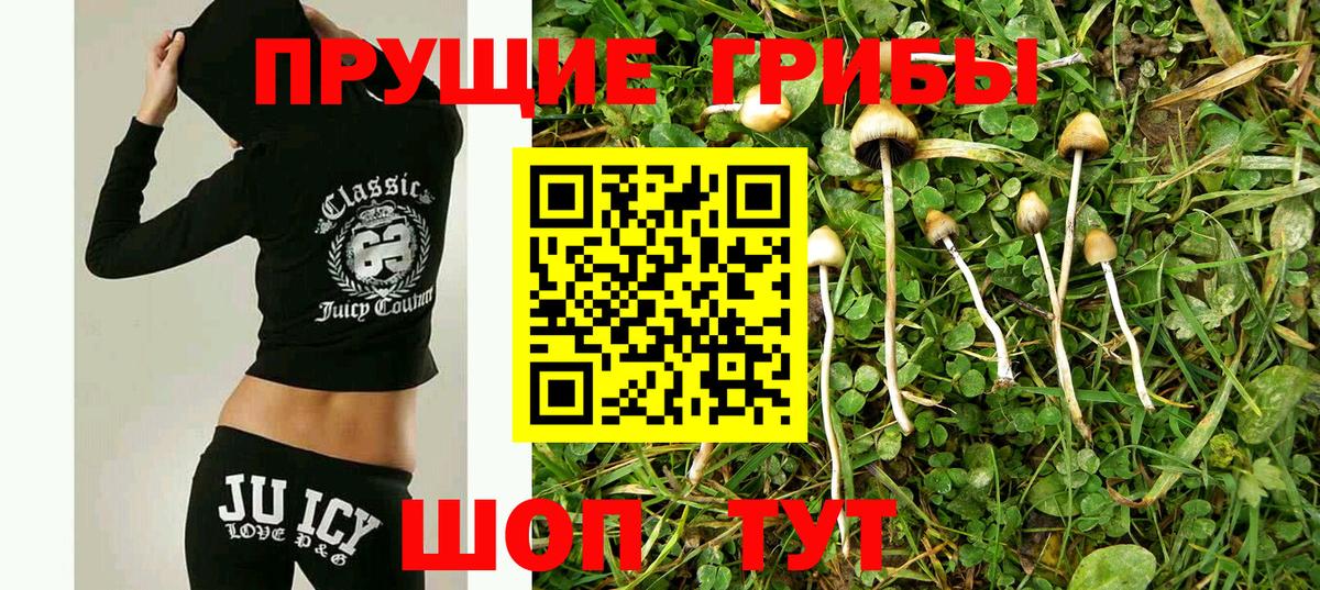 Абинск  Галлюциногенные грибы MAGIC MUSHROOMS  наркотики  Вход с VPN 